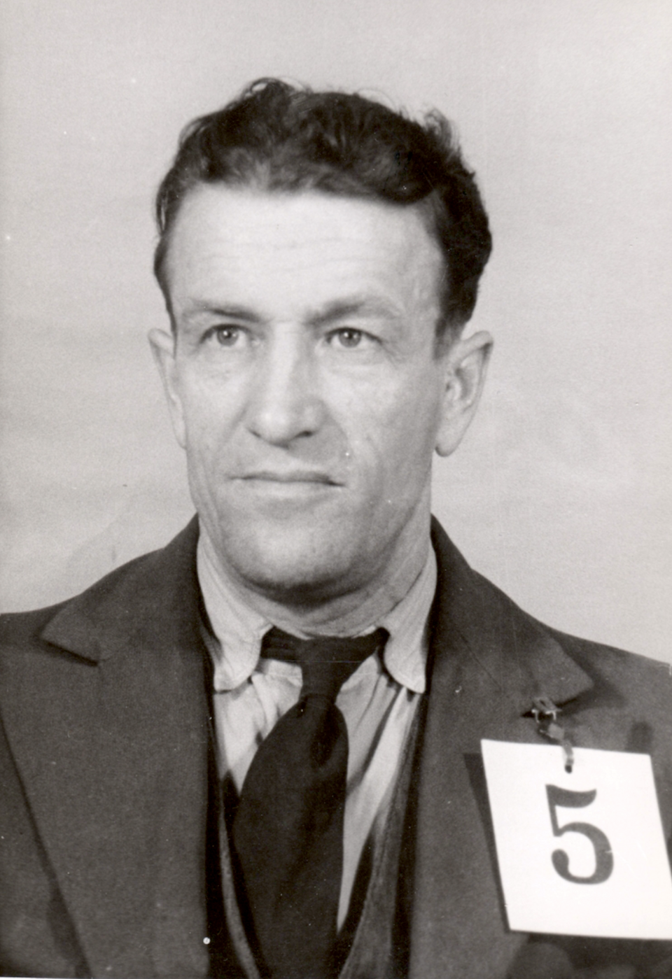 Aksel Julius Mære