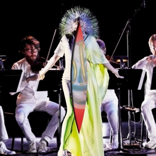Vulnicura Strings