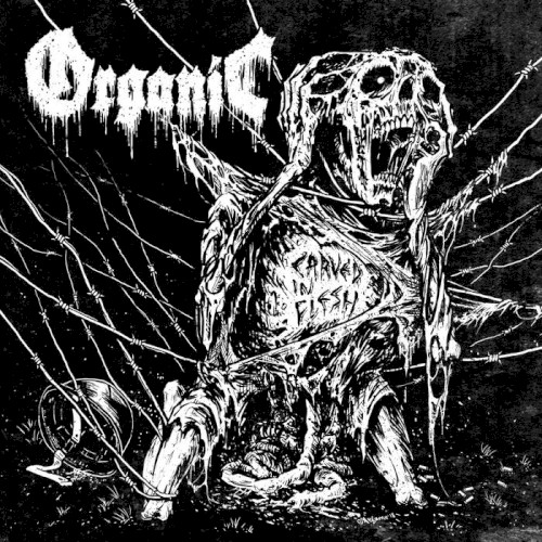 Carved in Flesh