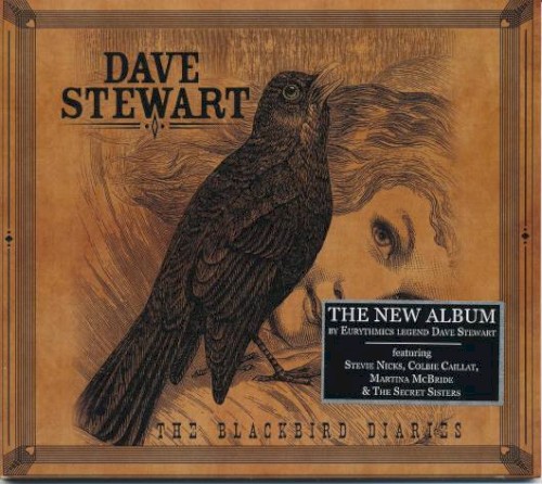 The Blackbird Diaries