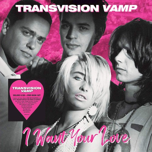 I Want Your Love