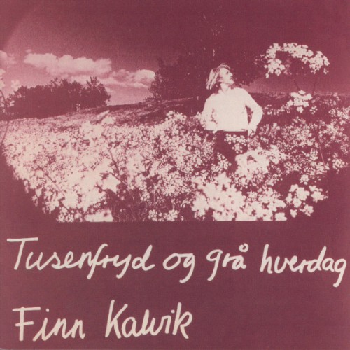Tusenfryd og grå hverdag