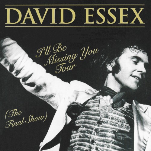 I’ll Be Missing You Tour (The Final Show)